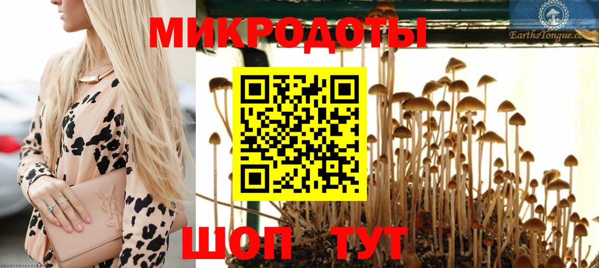 Псилоцибиновые грибы Cubensis Артёмовский